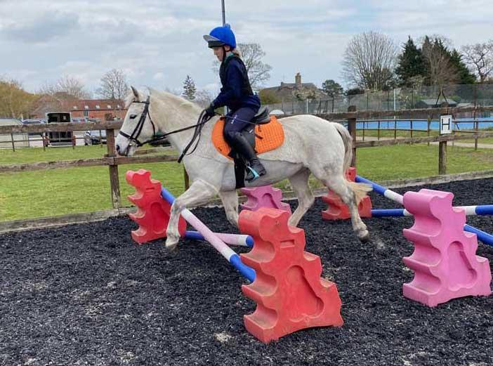 West Hill Park Riding School Pony Angel