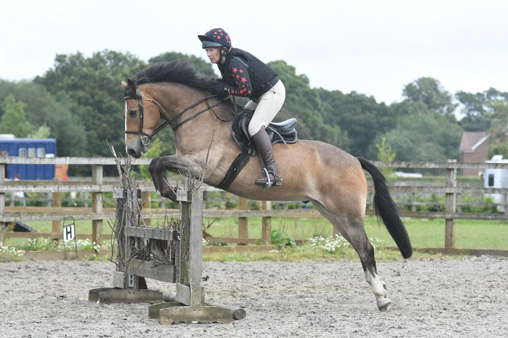 West Hill Park School Pony Dave