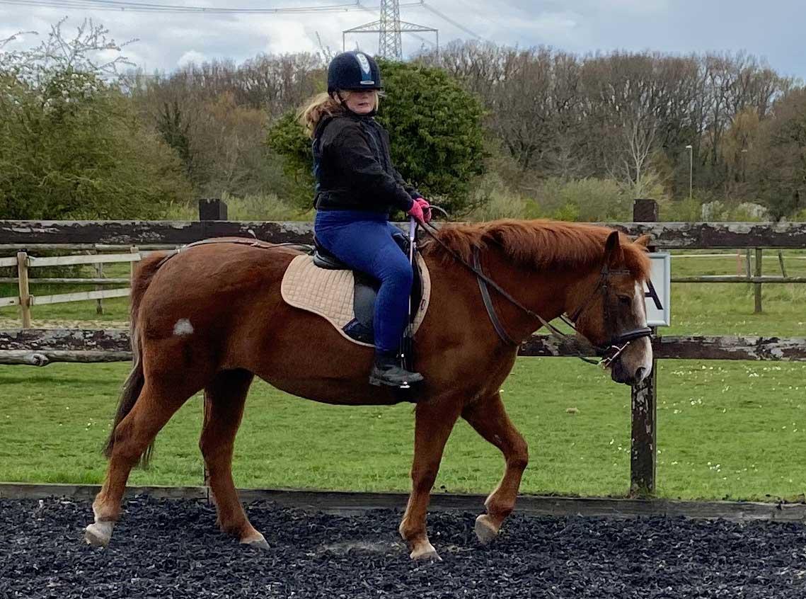 West Hill Park Riding School Pony Magic