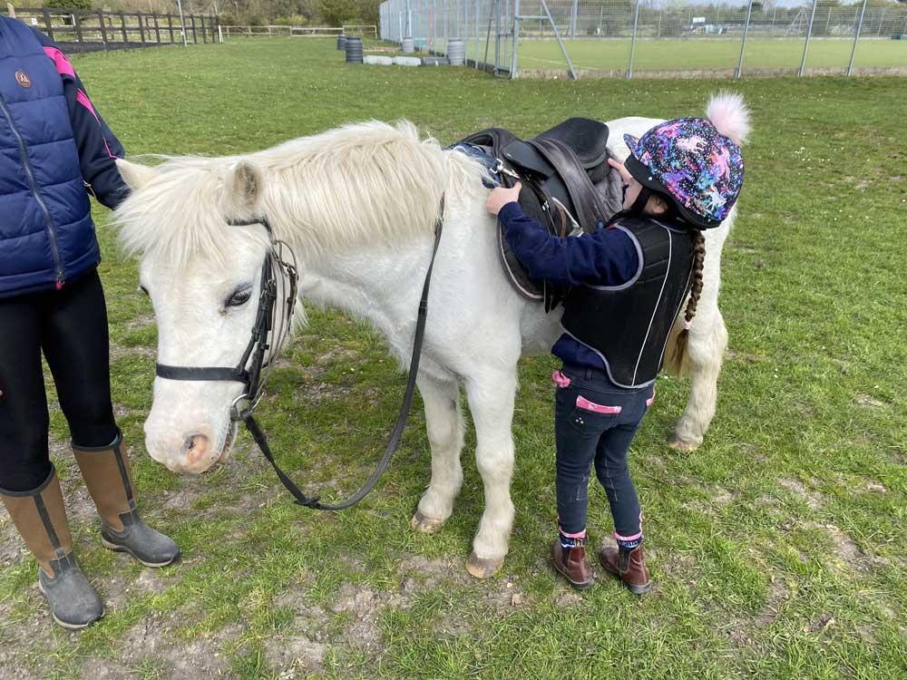 West Hill Park Pony Molly