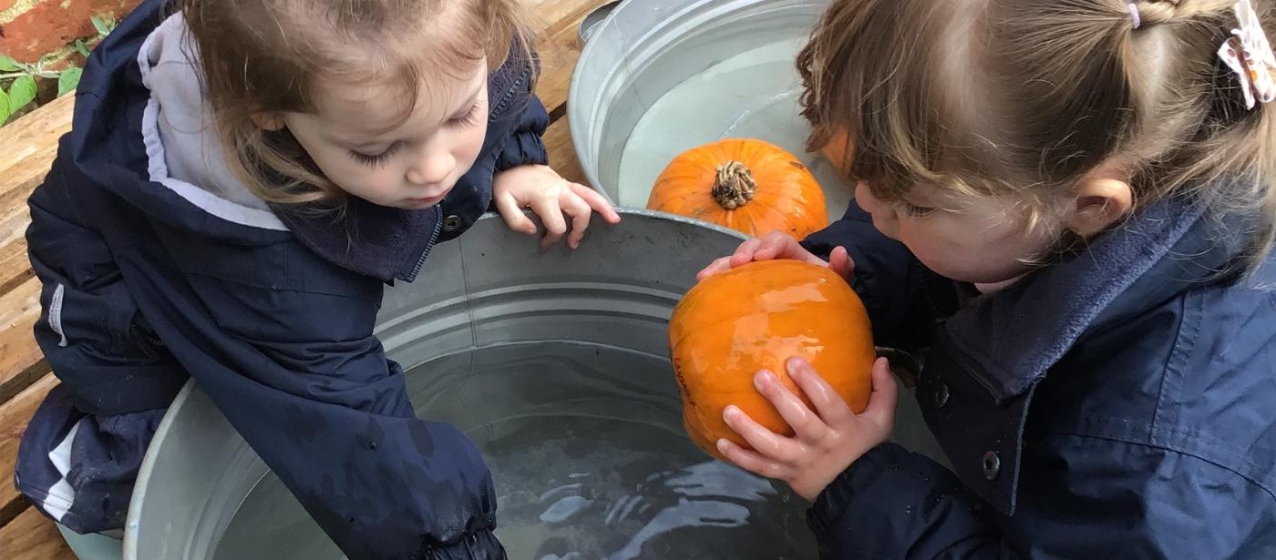 Little Griffins with Pumpkins